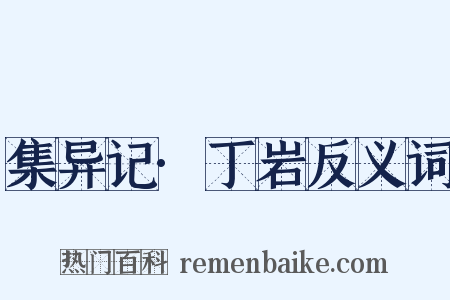 集异记·丁岩反义词是什么意思的图片